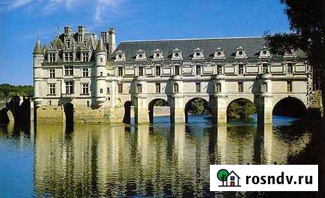 Участок ИЖС 40 сот. на продажу в Мамоново Мамоново - изображение 1