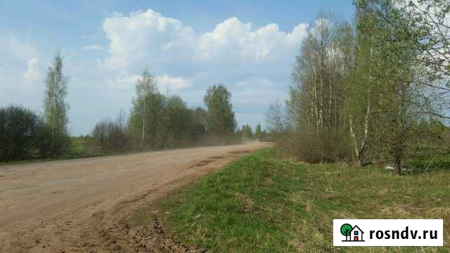 Участок ИЖС 200 сот. на продажу в Старой Руссе Старая Русса - изображение 1