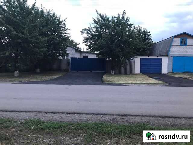 Дом 85 м² на участке 23 сот. на продажу в Вейделевке Вейделевка - изображение 1