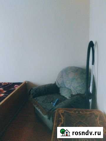 Комната 13 м² в 1-ком. кв., 9/9 эт. в аренду на длительный срок в Смоленске Смоленск - изображение 1