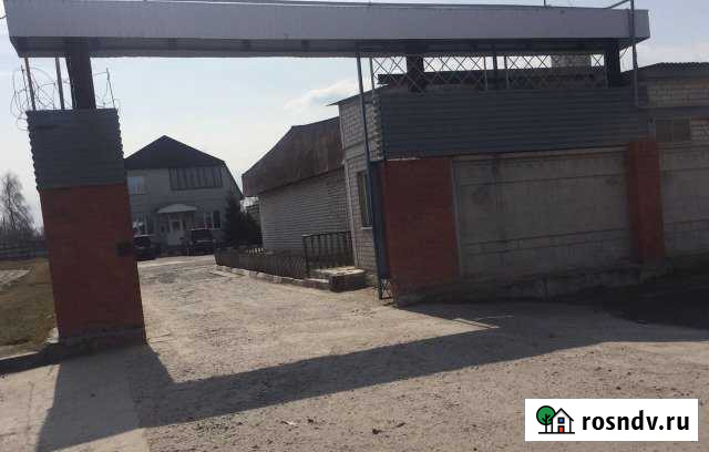 Аренда морозильных камер общей площадью 200 кв.м Ворошнево - изображение 1