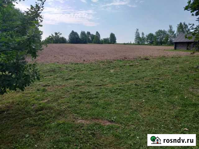 Участок ИЖС 70 сот. на продажу в Городце Городец - изображение 1