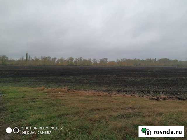 Участок промназначения 100 сот. на продажу в Воронеже Воронеж - изображение 1