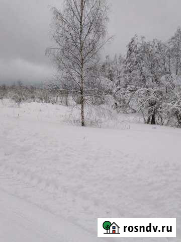 Участок ИЖС 20 сот. на продажу на Лугах Луга - изображение 1