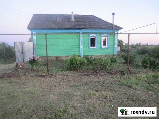 Дом 50 м² на участке 18 сот. на продажу в Борском Борское - изображение 1