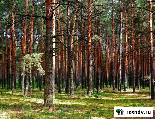 Дом 40 м² на участке 6 сот. на продажу в Ковылкино Ковылкино - изображение 1