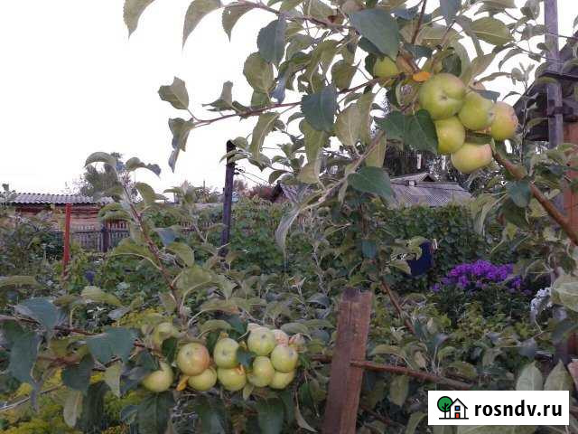 Дом 67.4 м² на участке 12 сот. на продажу в Михайловском Алтайского края Михайловское - изображение 1