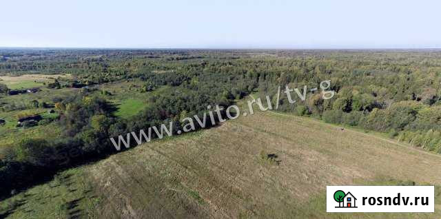 Участок СНТ, ДНП 12910 сот. на продажу в Ржеве Ржев - изображение 1