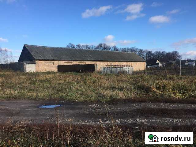 Участок ИЖС 10 сот. на продажу в Почепе Почеп - изображение 1