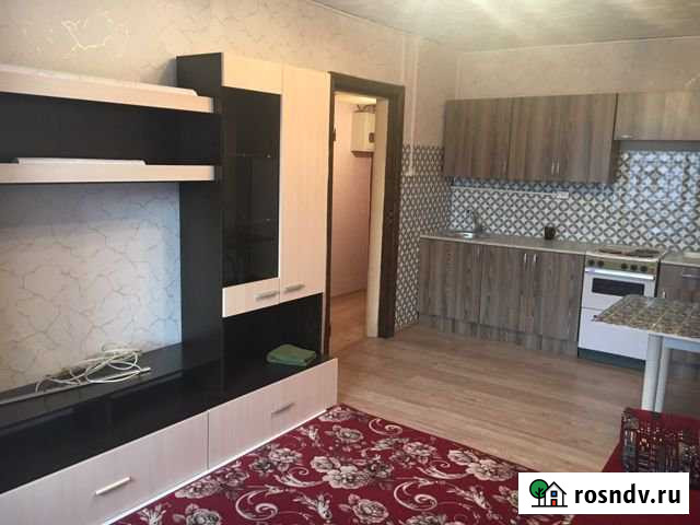 Квартира-студия, 24 м², 4/9 эт. в аренду на длительный срок в Кингисеппе Кингисепп - изображение 1