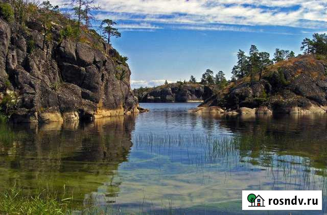 Участок ИЖС 115 сот. на продажу в Кузнечном Кузнечное - изображение 1