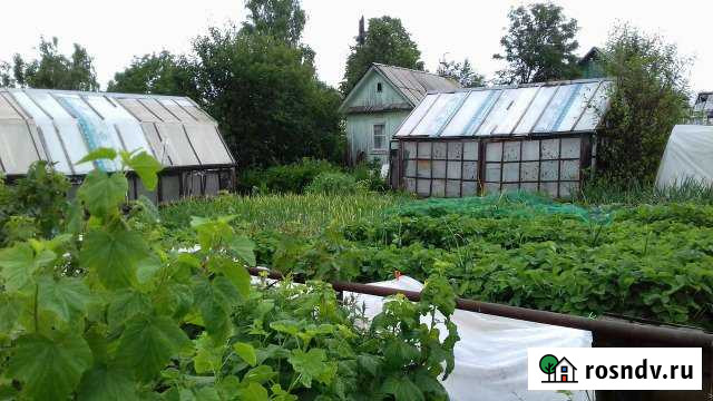 Участок СНТ, ДНП 4 сот. на продажу в Чусовом Чусовой - изображение 1