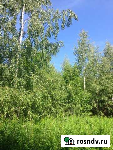 Участок СНТ, ДНП 12 сот. на продажу в Дубне Московской области Дубна - изображение 1