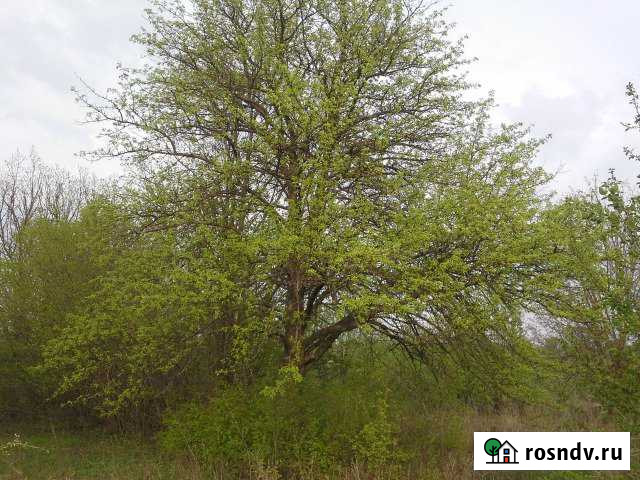 Участок ИЖС 50 сот. на продажу в Землянске Землянск - изображение 1