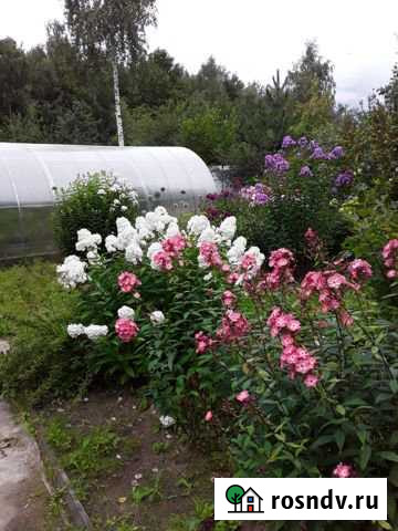 Дача 24 м² на участке 6 сот. на продажу в Тобольске Тобольск - изображение 1