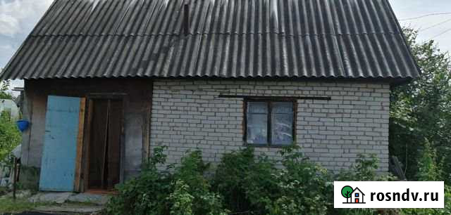 Дача 20 м² на участке 8 сот. на продажу в Светлом Томской области Светлый - изображение 1