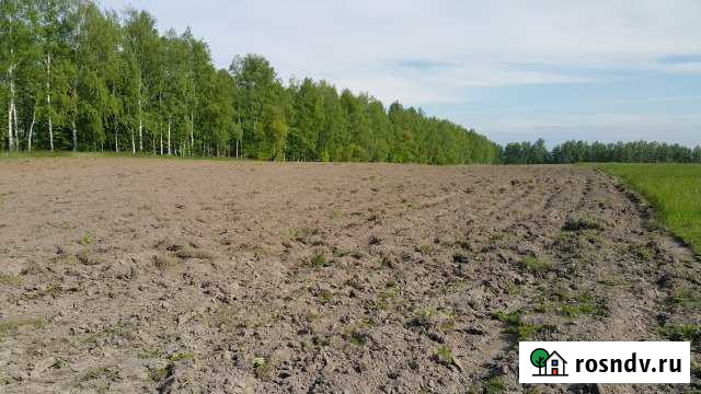 Участок ИЖС 280 сот. на продажу в Кокино Кокино - изображение 1