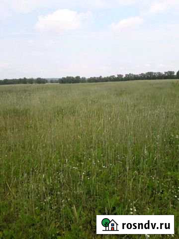 Участок СНТ, ДНП 8200 сот. на продажу в Шушенском Шушенское - изображение 1