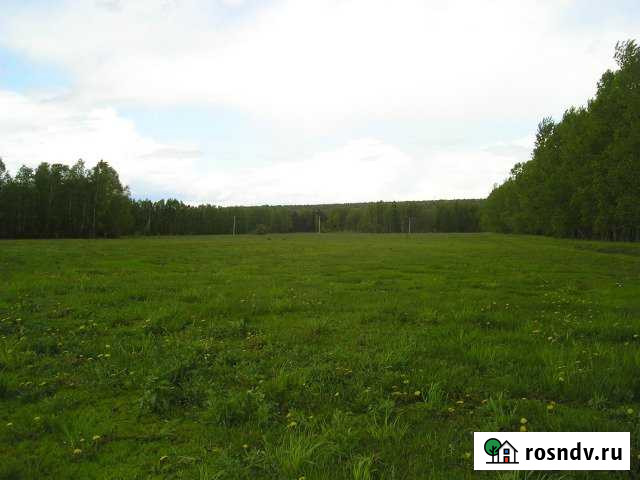 Участок СНТ, ДНП 10 сот. на продажу в Гостилицах Гостилицы - изображение 1