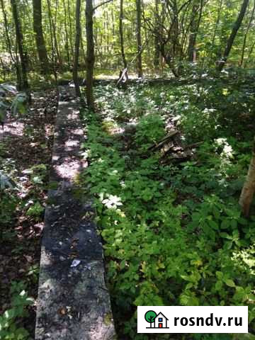 Участок ИЖС 6 сот. на продажу в Светлогорске Светлогорск - изображение 1