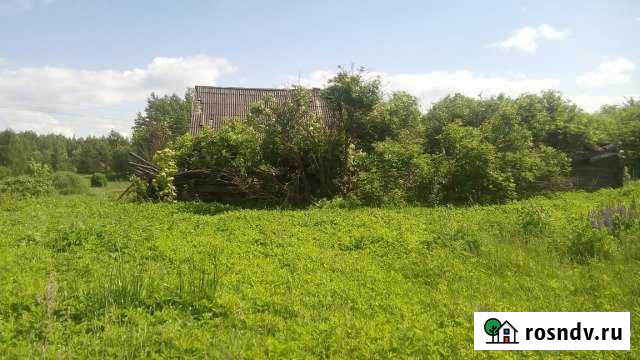 Дом 40 м² на участке 36 сот. на продажу в Печорах Печоры - изображение 1