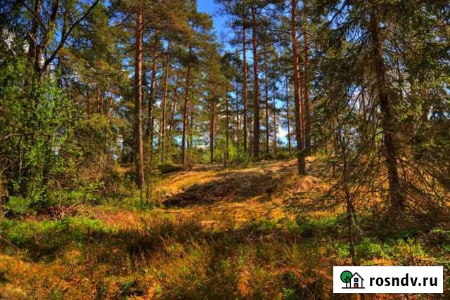 Участок ИЖС 30 сот. на продажу в Тарусе Таруса - изображение 1