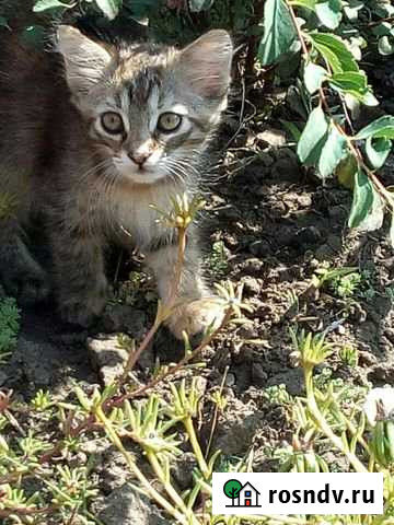 Участок ИЖС 4 сот. на продажу в Батайске Батайск - изображение 1