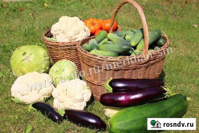 Дача 20 м² на участке 6 сот. на продажу в Смоленске Смоленск - изображение 1