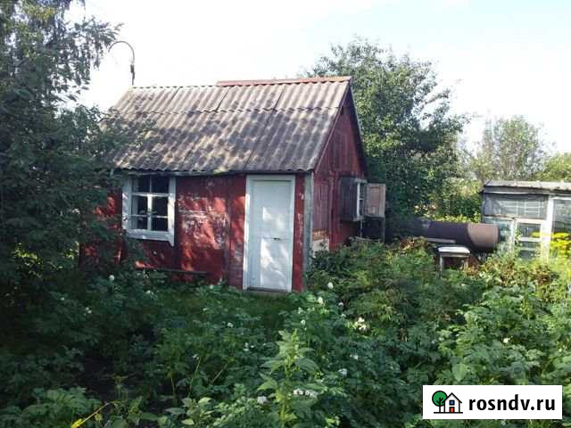 Дача 20 м² на участке 5.5 сот. на продажу в Шипуново Шипуново - изображение 1
