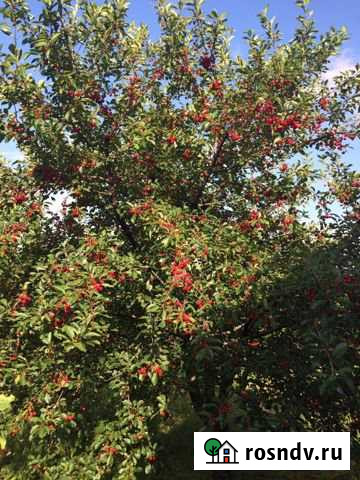 Участок СНТ, ДНП 12 сот. на продажу в Саратове Саратов - изображение 1