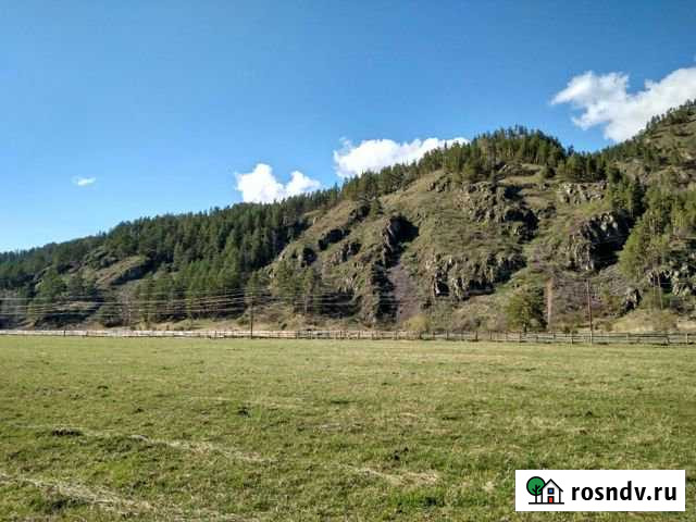 Участок СНТ, ДНП 360 сот. на продажу в Горно-Алтайске Горно-Алтайск - изображение 1