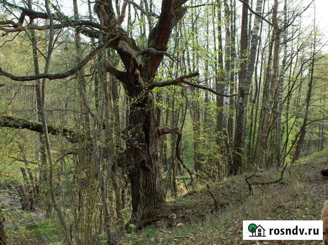 Участок СНТ, ДНП 100 сот. на продажу в Заокском Заокский - изображение 1