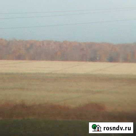 Участок ИЖС 15 сот. на продажу в Троицке Челябинской области Троицк - изображение 1