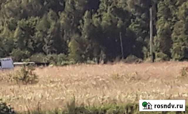 Участок ИЖС 9 сот. на продажу в Пущино Пущино - изображение 1