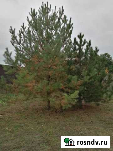 Участок ИЖС 12 сот. на продажу в Рассвете Ростовской области Рассвет - изображение 1