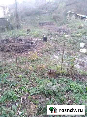 Участок СНТ, ДНП 6 сот. на продажу в Высоком Высокое - изображение 1