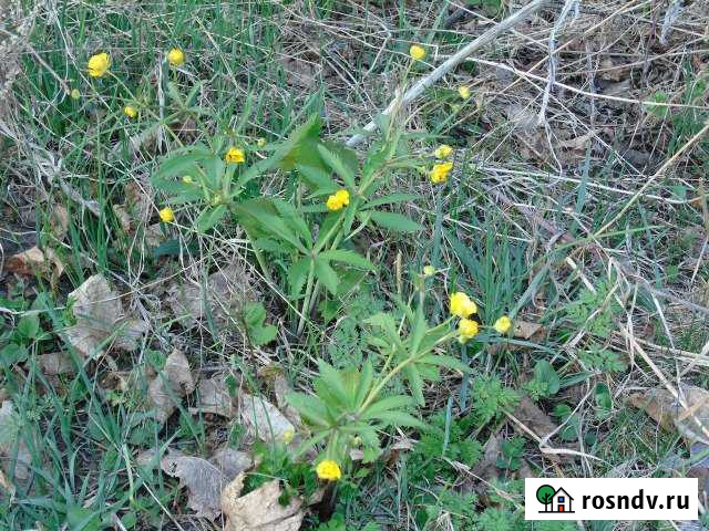 Дом 60 м² на участке 30 сот. на продажу в Коломне Коломна - изображение 1