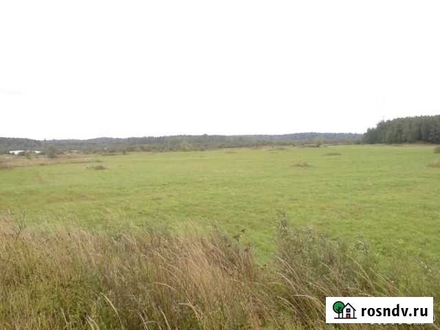 Участок ИЖС 21 сот. на продажу в Елизаветино Елизаветино - изображение 1