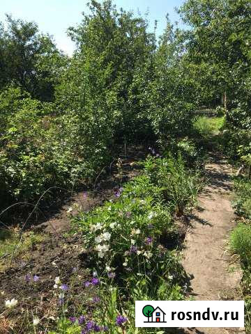 Дача 30 м² на участке 10 сот. на продажу в Дьяконово Дьяконово - изображение 1