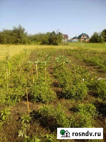 Участок ИЖС 16 сот. на продажу в Лисках Лиски - изображение 1