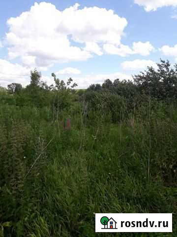 Участок ИЖС 4200 сот. на продажу в Мензелинске Мензелинск - изображение 1