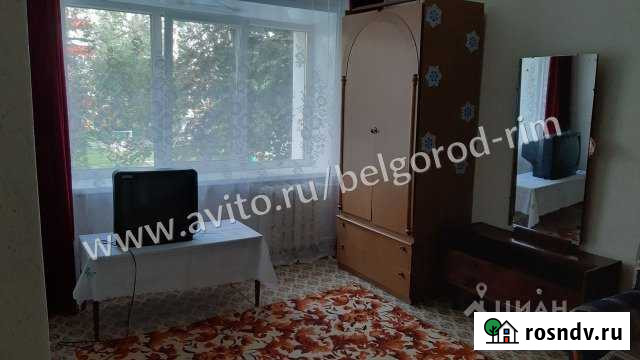 1-комнатная квартира, 27 м², 2/5 эт. в аренду на длительный срок в Старом Осколе Старый Оскол - изображение 1