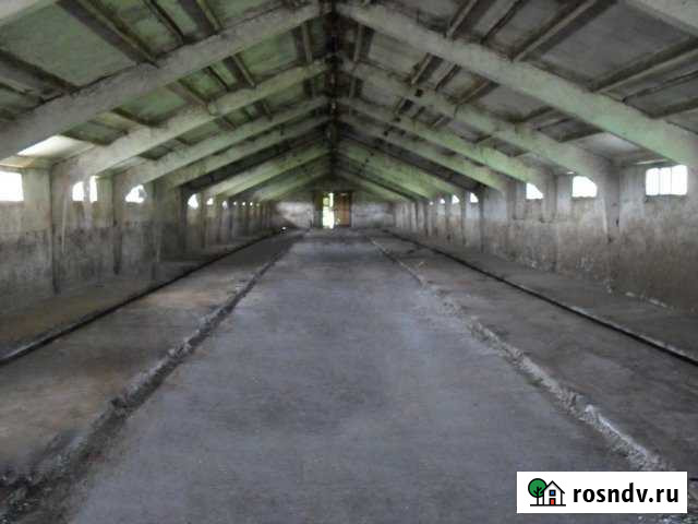 Складское помещение, 750 кв.м. Заокский - изображение 1