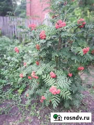 Дача 30 м² на участке 11 сот. на продажу в Ростовке Ростовка - изображение 1