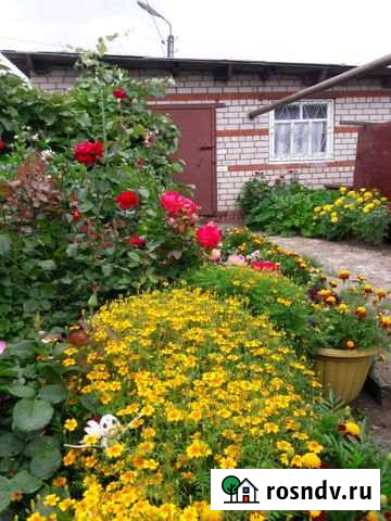 Дом 60 м² на участке 8 сот. на продажу в Елабуге Елабуга - изображение 1