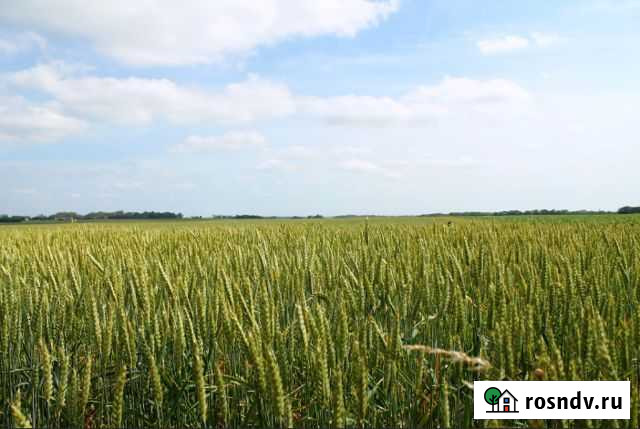 Участок СНТ, ДНП 10000 сот. на продажу в Медыни Медынь - изображение 1