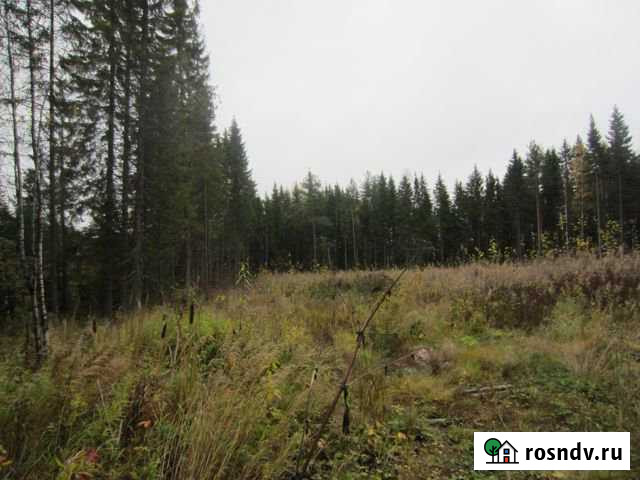 Участок промназначения 73 сот. на продажу в Сыктывкаре Сыктывкар - изображение 1