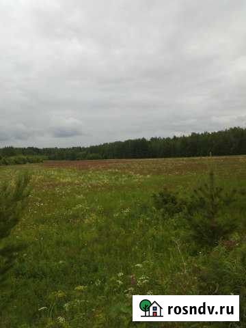 Участок промназначения 220 сот. на продажу в Мурыгино Мурыгино - изображение 1