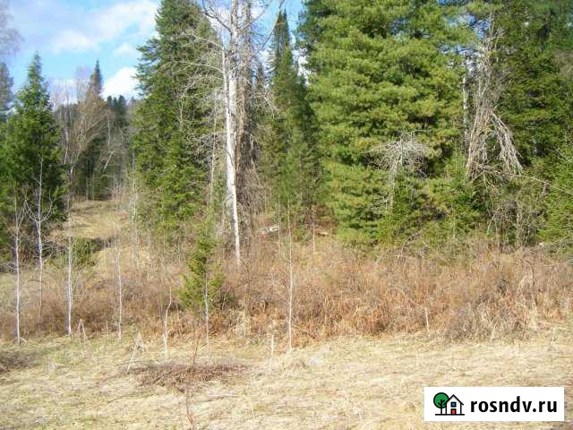 Участок ИЖС 25 сот. на продажу в Турочаке Турочак - изображение 1