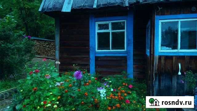 Дом 56 м² на участке 23 сот. на продажу в Амурске Амурск - изображение 1